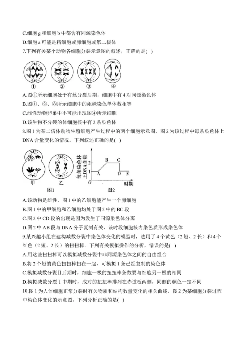 （8）遗传的细胞基础&mdash;&mdash;高考生物二轮复习易错重难提升（含解析）_2024-2025高三（6-6月题库）_2026年1月高三_260104高考生物二轮复习易错重难提升（含解析）