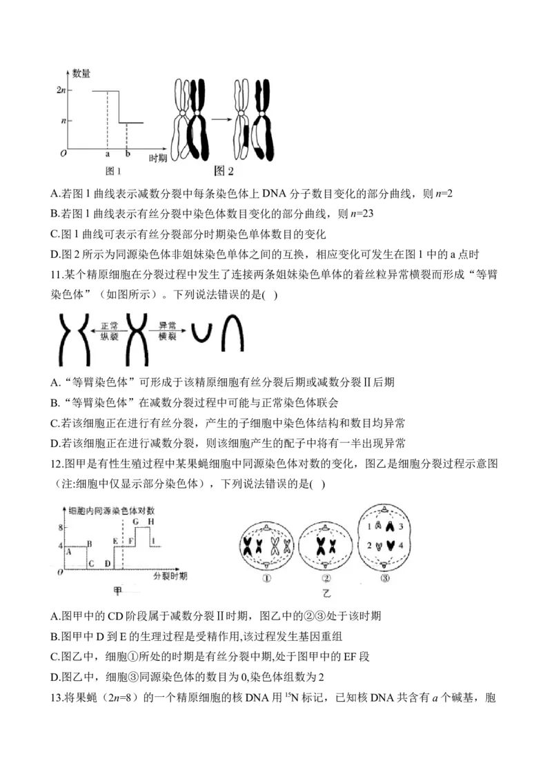 （8）遗传的细胞基础&mdash;&mdash;高考生物二轮复习易错重难提升（含解析）_2024-2025高三（6-6月题库）_2026年1月高三_260104高考生物二轮复习易错重难提升（含解析）
