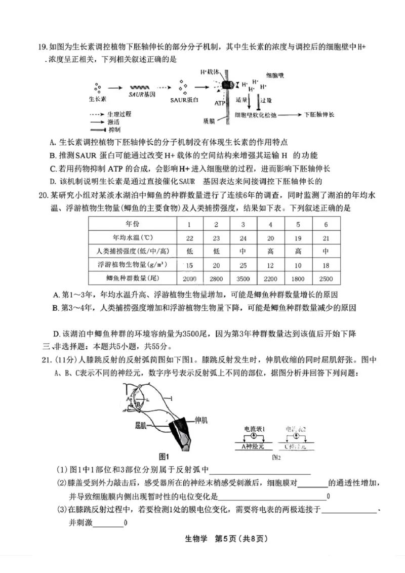 生物试卷-辽宁省名校联盟2025年高二12月份联合考试_251218辽宁省名校联盟2025年高二12月份联合考试_辽宁省名校联盟2025-2026学年高二上学期12月份联合考试生物试题（图片版，含答案）