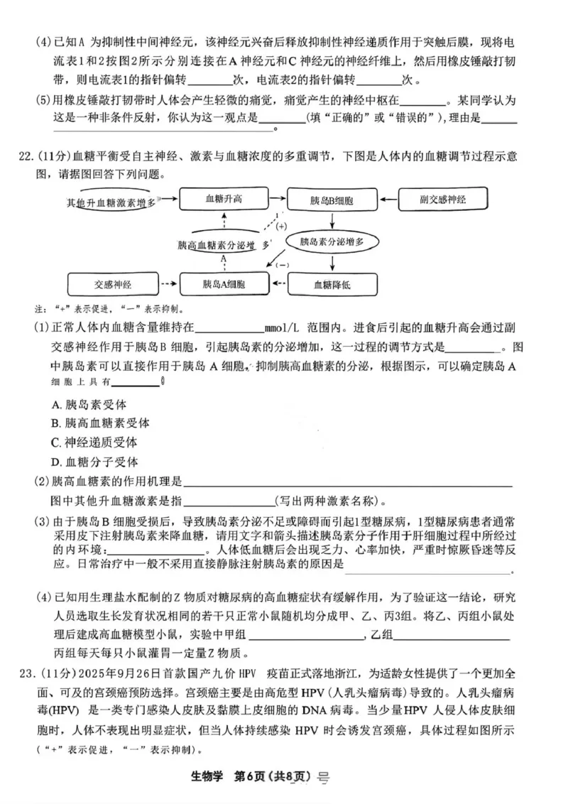 生物试卷-辽宁省名校联盟2025年高二12月份联合考试_251218辽宁省名校联盟2025年高二12月份联合考试_辽宁省名校联盟2025-2026学年高二上学期12月份联合考试生物试题（图片版，含答案）