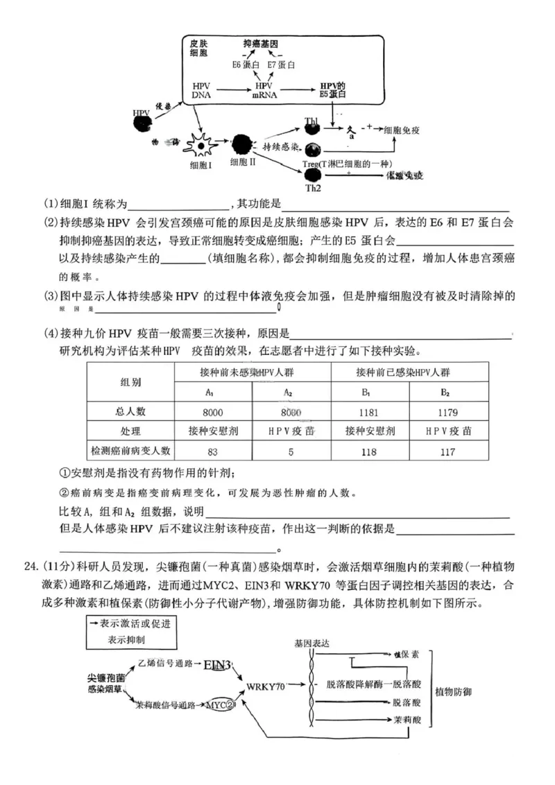 生物试卷-辽宁省名校联盟2025年高二12月份联合考试_251218辽宁省名校联盟2025年高二12月份联合考试_辽宁省名校联盟2025-2026学年高二上学期12月份联合考试生物试题（图片版，含答案）