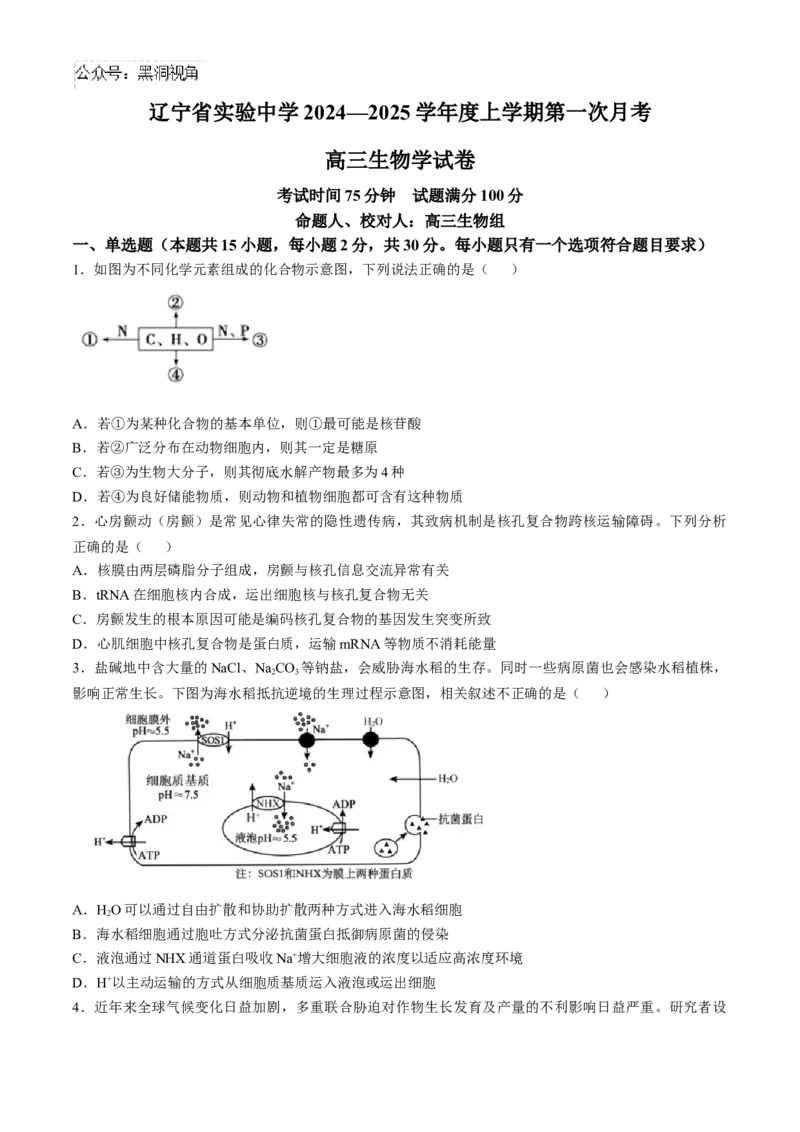辽宁省实验中学2024-2025学年高三上学期10月月考生物试题(含答案）_2024-2025高三（6-6月题库）_2024年10月试卷_1012辽宁省实验中学2024-2025学年高三上学期10月月考