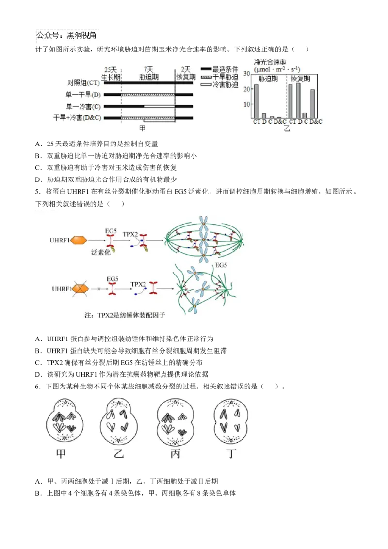辽宁省实验中学2024-2025学年高三上学期10月月考生物试题(含答案）_2024-2025高三（6-6月题库）_2024年10月试卷_1012辽宁省实验中学2024-2025学年高三上学期10月月考