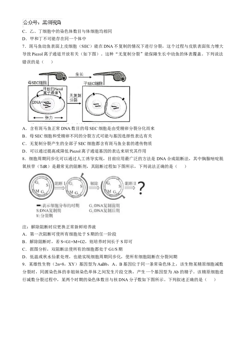 辽宁省实验中学2024-2025学年高三上学期10月月考生物试题(含答案）_2024-2025高三（6-6月题库）_2024年10月试卷_1012辽宁省实验中学2024-2025学年高三上学期10月月考
