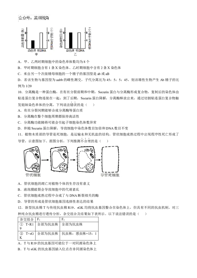 辽宁省实验中学2024-2025学年高三上学期10月月考生物试题(含答案）_2024-2025高三（6-6月题库）_2024年10月试卷_1012辽宁省实验中学2024-2025学年高三上学期10月月考