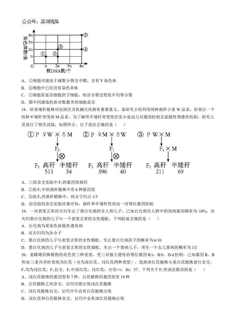 辽宁省实验中学2024-2025学年高三上学期10月月考生物试题(含答案）_2024-2025高三（6-6月题库）_2024年10月试卷_1012辽宁省实验中学2024-2025学年高三上学期10月月考