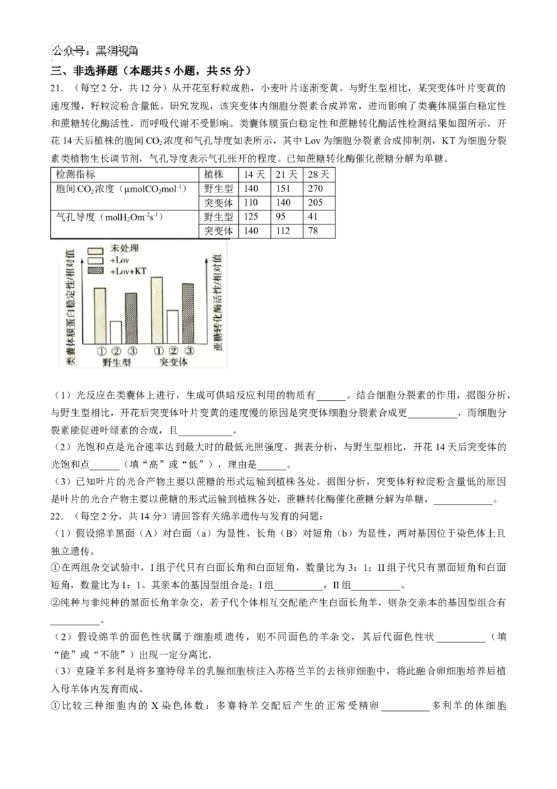 辽宁省实验中学2024-2025学年高三上学期10月月考生物试题(含答案）_2024-2025高三（6-6月题库）_2024年10月试卷_1012辽宁省实验中学2024-2025学年高三上学期10月月考
