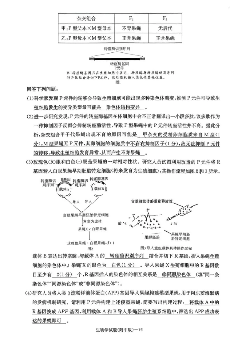 湖南师大附中2026届高三月考试卷（五）生物答案_2024-2026高三（6-6月题库）_2026年01月高三试卷_0107炎德&middot;英才大联考湖南师大附中2026届高三月考试卷（五）（全）