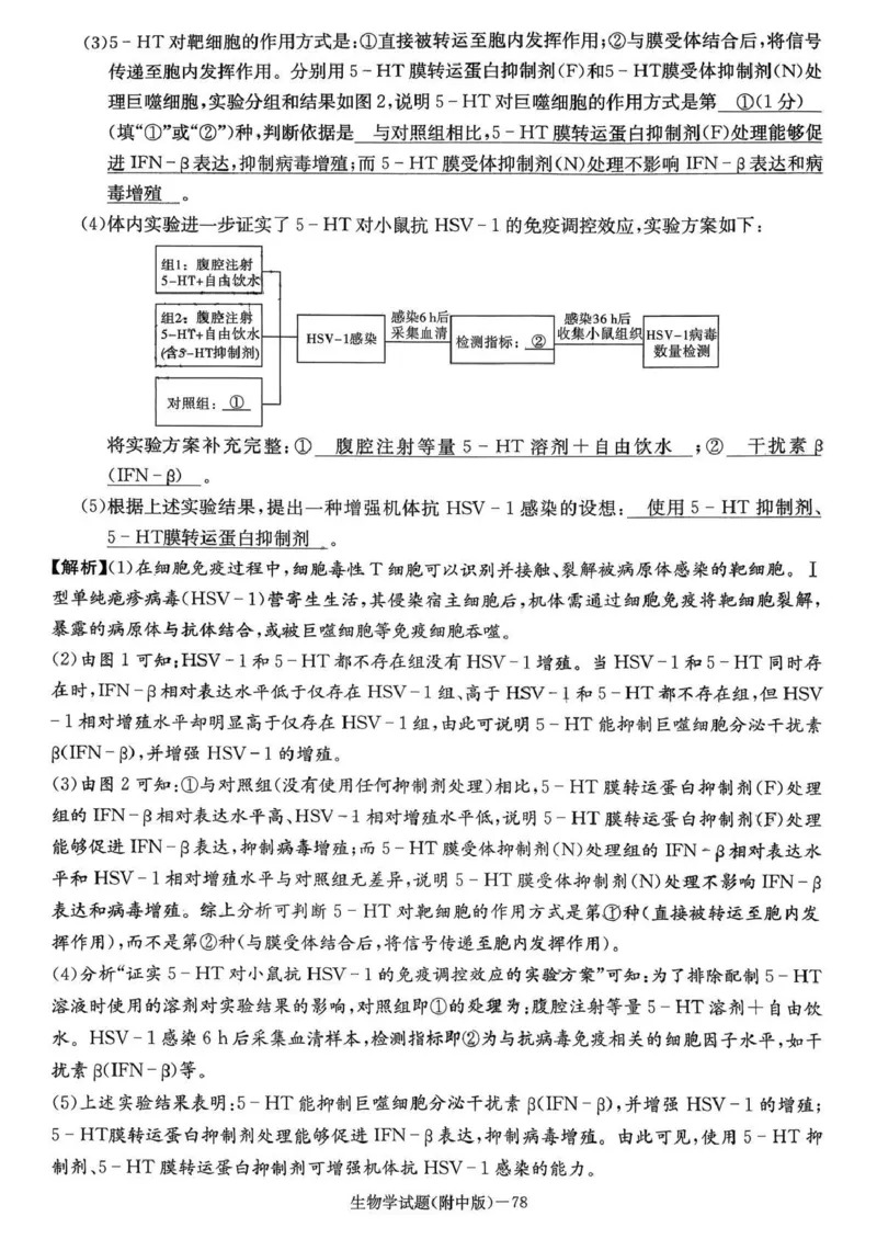 湖南师大附中2026届高三月考试卷（五）生物答案_2024-2026高三（6-6月题库）_2026年01月高三试卷_0107炎德&middot;英才大联考湖南师大附中2026届高三月考试卷（五）（全）