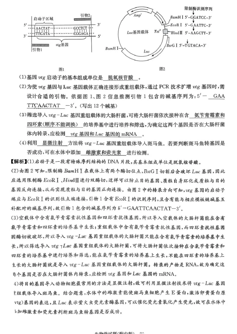 湖南师大附中2026届高三月考试卷（五）生物答案_2024-2026高三（6-6月题库）_2026年01月高三试卷_0107炎德&middot;英才大联考湖南师大附中2026届高三月考试卷（五）（全）