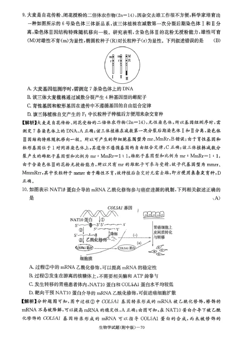 湖南师大附中2026届高三月考试卷（五）生物答案_2024-2026高三（6-6月题库）_2026年01月高三试卷_0107炎德&middot;英才大联考湖南师大附中2026届高三月考试卷（五）（全）