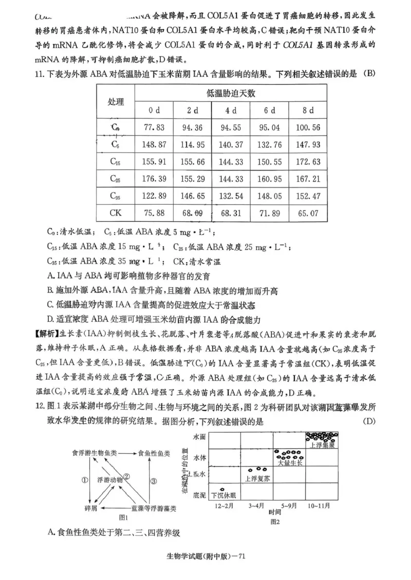 湖南师大附中2026届高三月考试卷（五）生物答案_2024-2026高三（6-6月题库）_2026年01月高三试卷_0107炎德&middot;英才大联考湖南师大附中2026届高三月考试卷（五）（全）