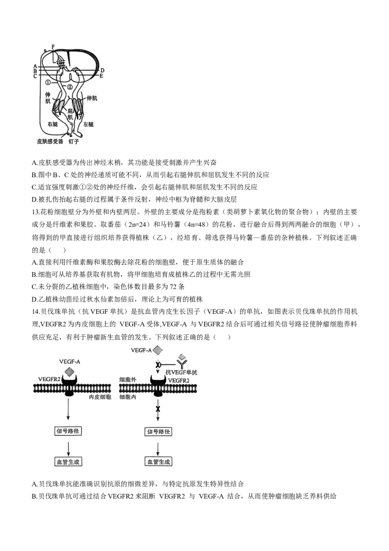 辽宁省名校联盟2025届高三下学期高考模拟押题卷生物学（三）试题（有解析）_2024-2025高三（6-6月题库）_2025年05月试卷_0508辽宁省名校联盟2025年高考模拟卷押题卷（数物化生）