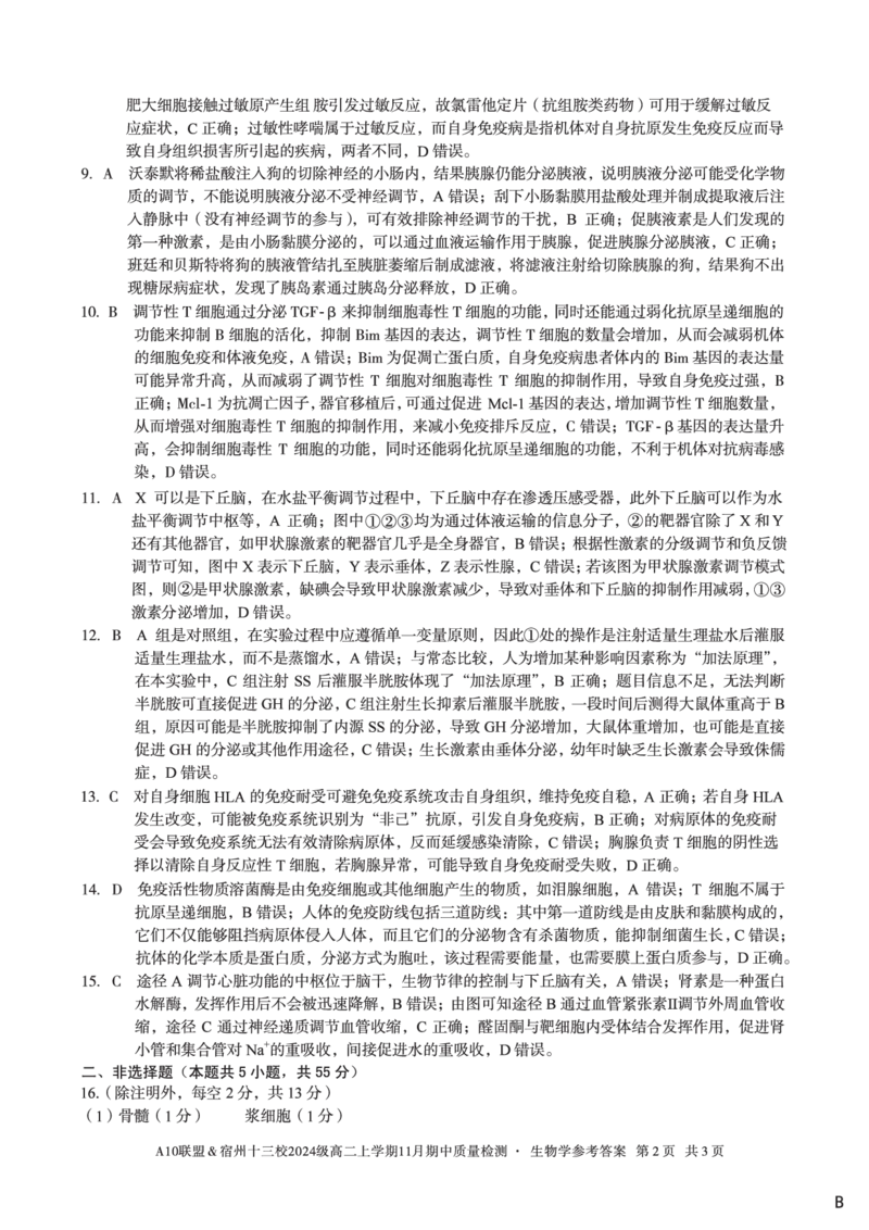 生物学答案（B卷）A10联盟＆宿州十三校2024级高二上学期11月期中质量检测生物学答案B_2025年11月高二试卷_251124安徽省A10联盟＆宿州十三校2024级高二上学期11月期中质量检测（全）