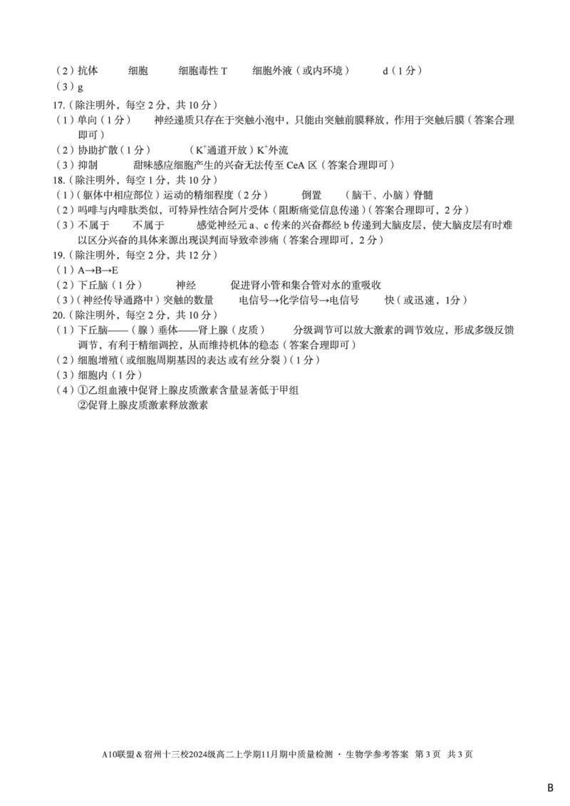 生物学答案（B卷）A10联盟＆宿州十三校2024级高二上学期11月期中质量检测生物学答案B_2025年11月高二试卷_251124安徽省A10联盟＆宿州十三校2024级高二上学期11月期中质量检测（全）