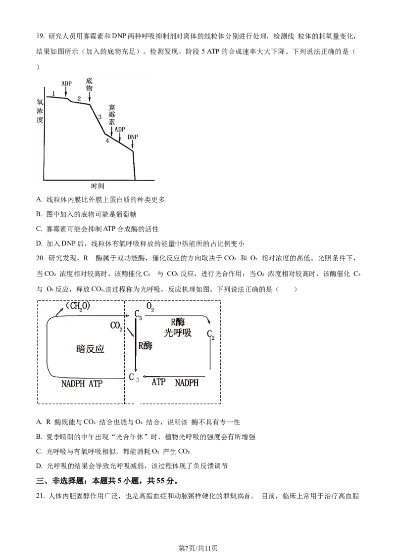精品解析：山东省潍坊市2023-2024学年高二下学期期末考试生物试卷（原卷版）_2024-2025高三（6-6月题库）_2024年07月试卷_240712山东省潍坊市2024年7月高二年级下学期期末学习质量检测