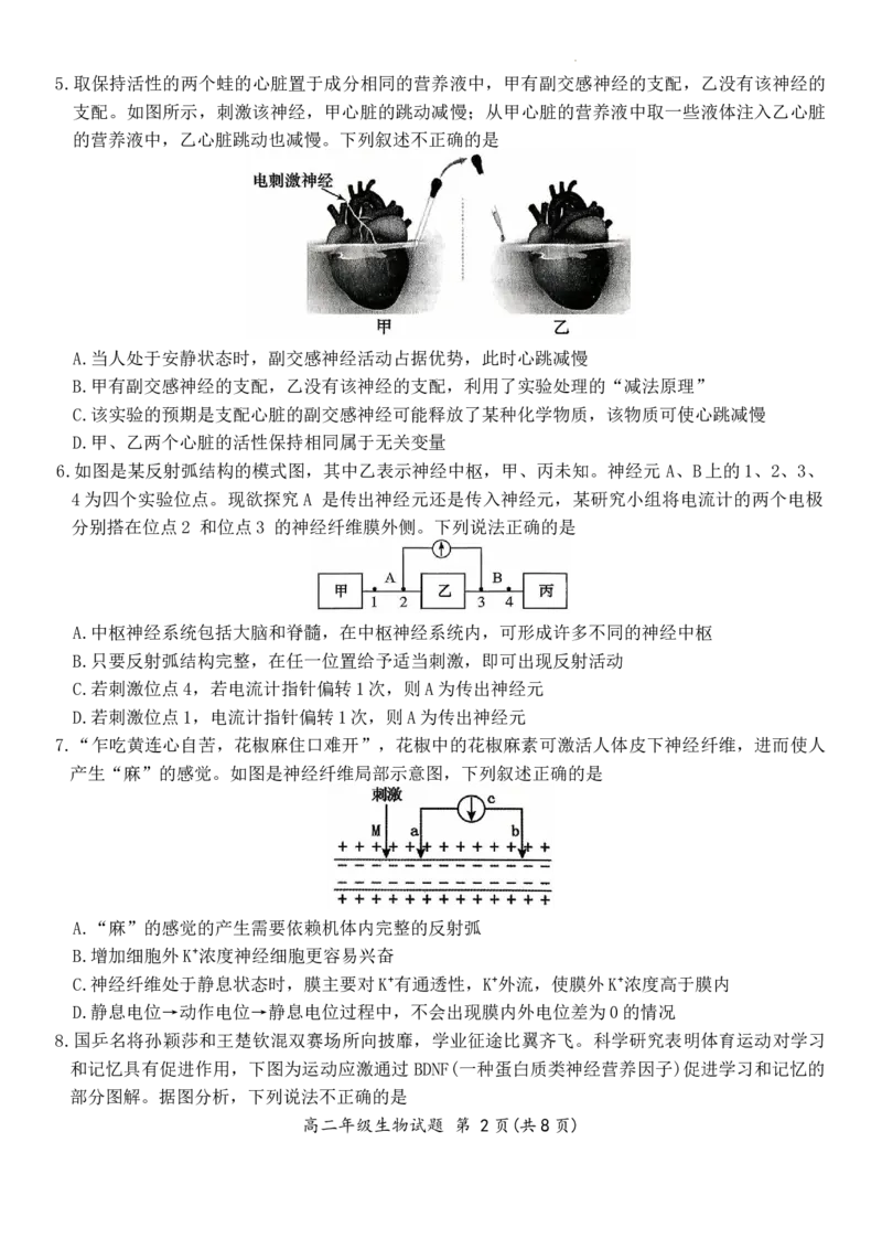 生物_2025年10月高二试卷_251016河南省南阳市六校2025-2026学年高二上学期第一次联考（全）_河南省南阳市六校2025-2026学年高二上学期第一次联考生物试题含答案