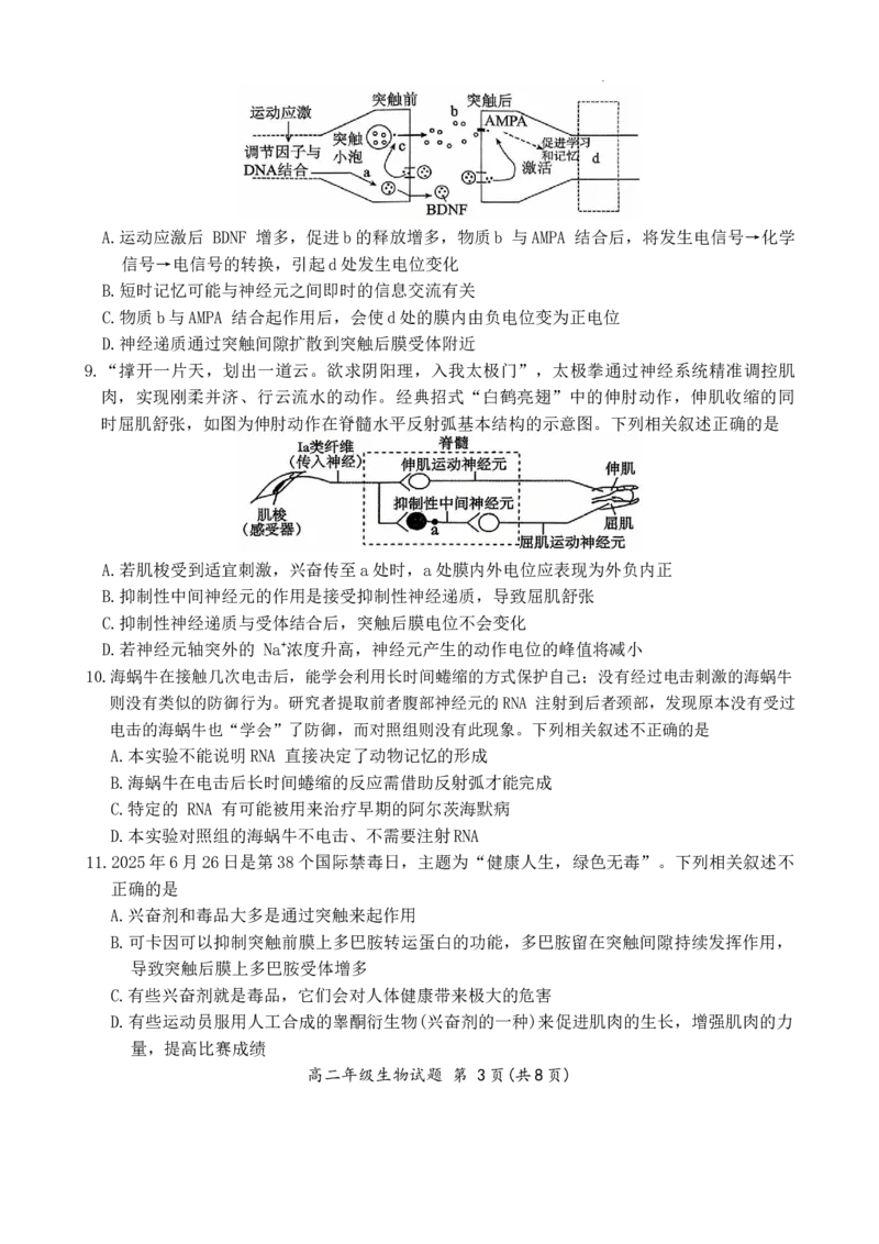 生物_2025年10月高二试卷_251016河南省南阳市六校2025-2026学年高二上学期第一次联考（全）_河南省南阳市六校2025-2026学年高二上学期第一次联考生物试题含答案