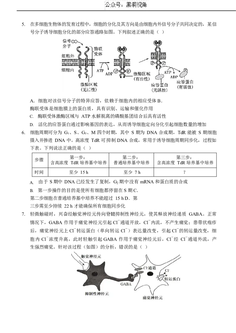 重庆市西南大学附属中学校2024-2025学年高三上学期11月阶段性检查生物试题（二））_2024-2025高三（6-6月题库）_2024年12月试卷