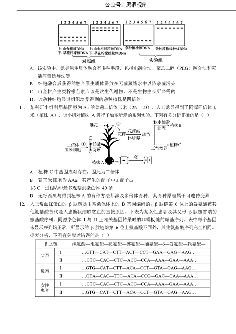 重庆市西南大学附属中学校2024-2025学年高三上学期11月阶段性检查生物试题（二））_2024-2025高三（6-6月题库）_2024年12月试卷