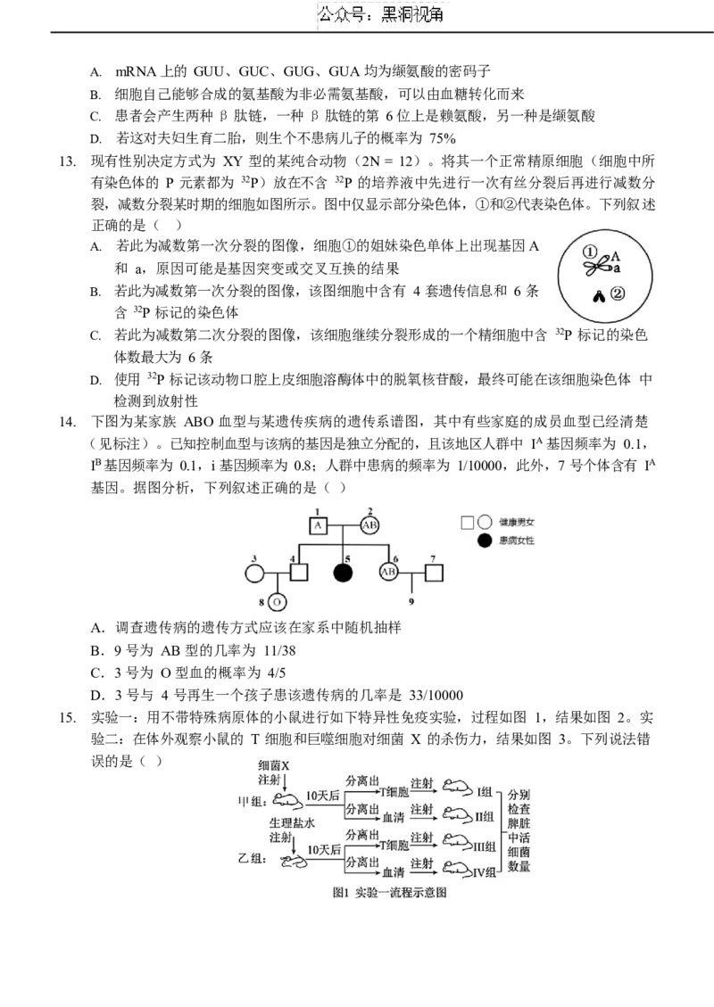 重庆市西南大学附属中学校2024-2025学年高三上学期11月阶段性检查生物试题（二））_2024-2025高三（6-6月题库）_2024年12月试卷