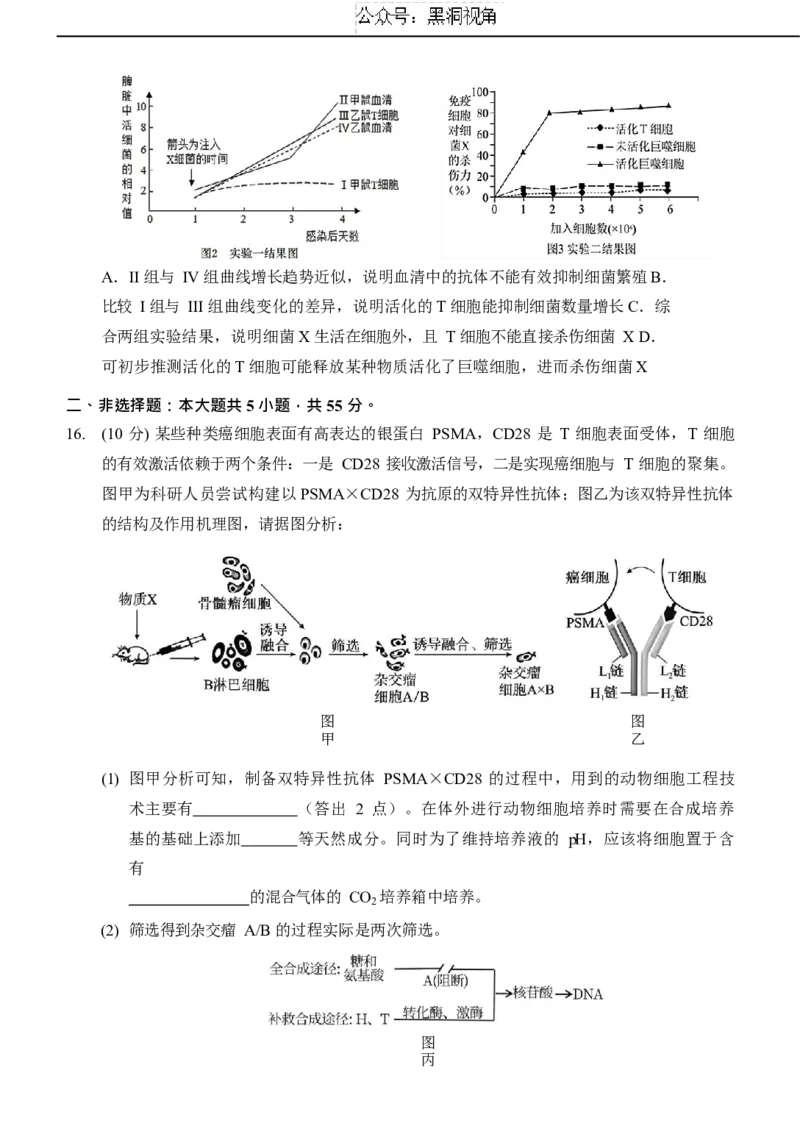 重庆市西南大学附属中学校2024-2025学年高三上学期11月阶段性检查生物试题（二））_2024-2025高三（6-6月题库）_2024年12月试卷