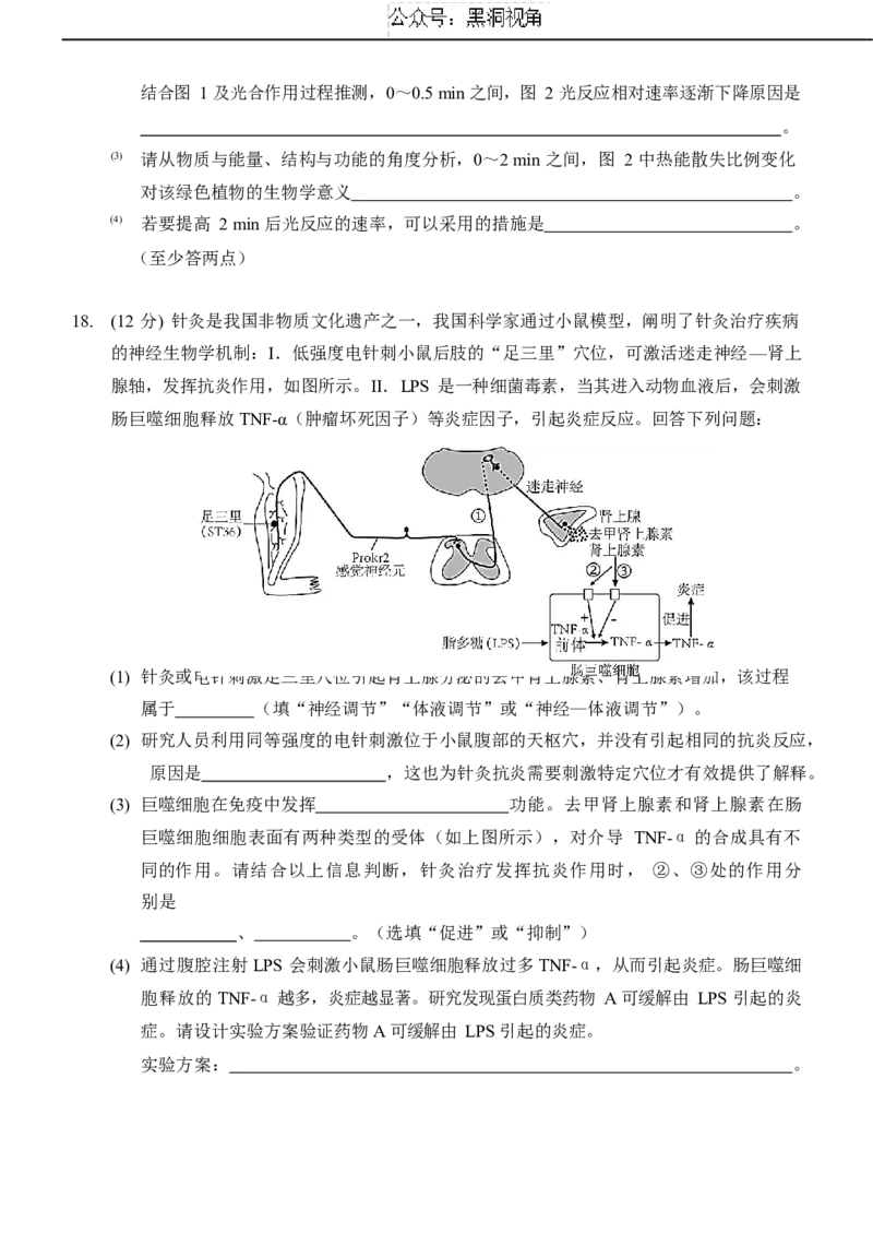 重庆市西南大学附属中学校2024-2025学年高三上学期11月阶段性检查生物试题（二））_2024-2025高三（6-6月题库）_2024年12月试卷