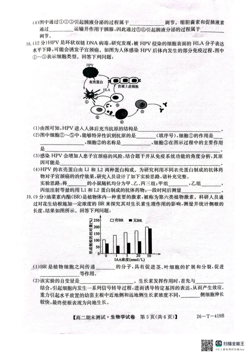 甘肃省武威第六中学2025-2026学年高二上学期期末考试生物学试卷（PDF版，含答案）_2024-2025高二（7-7月题库）_2026年1月高二_260123甘肃省武威第六中学2025-2026学年高二上学期期末考试