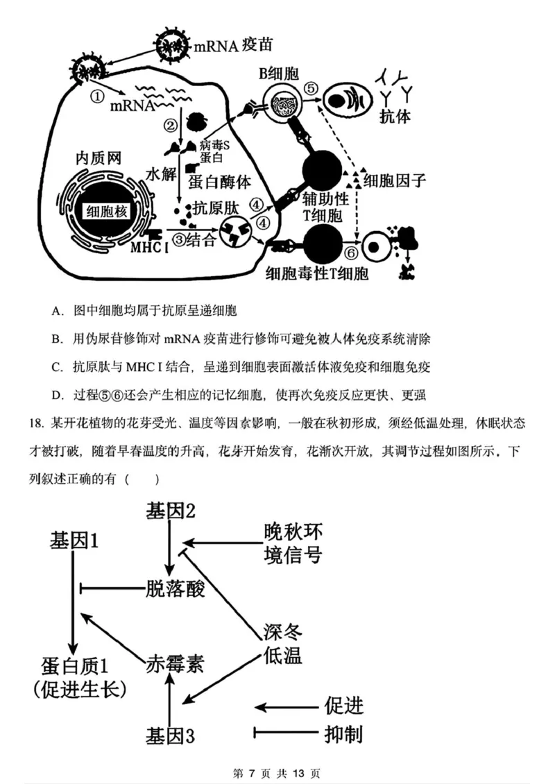 黑龙江省哈尔滨德强高级中学2025-2026学年高二上学期期末考试生物试卷（I卷）（图片版，含答案）_2024-2025高二（7-7月题库）_2026年1月高二