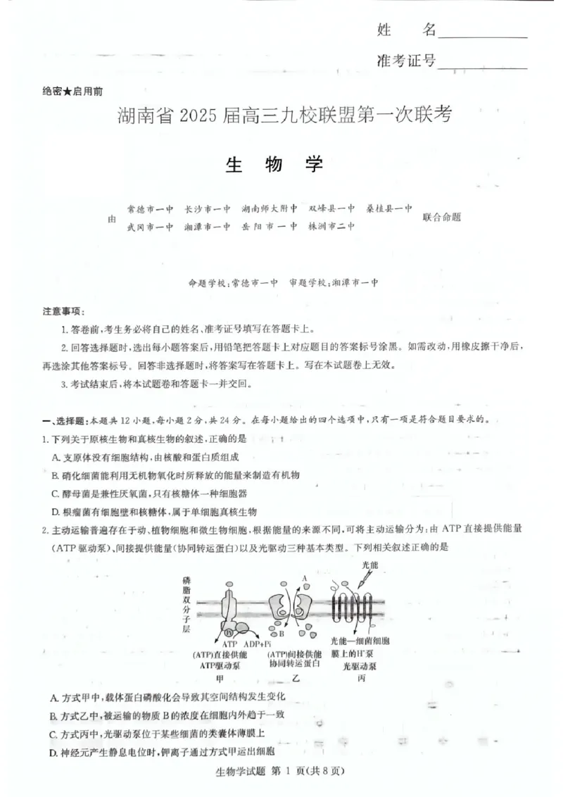 生物_2024-2025高三（6-6月题库）_2024年12月试卷_12152025届湖南省九校联盟高三上学期第一次联考（一模）_湖南省2025届高三九校联盟第一次联考生物