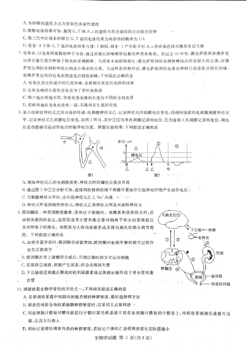 生物_2024-2025高三（6-6月题库）_2024年12月试卷_12152025届湖南省九校联盟高三上学期第一次联考（一模）_湖南省2025届高三九校联盟第一次联考生物