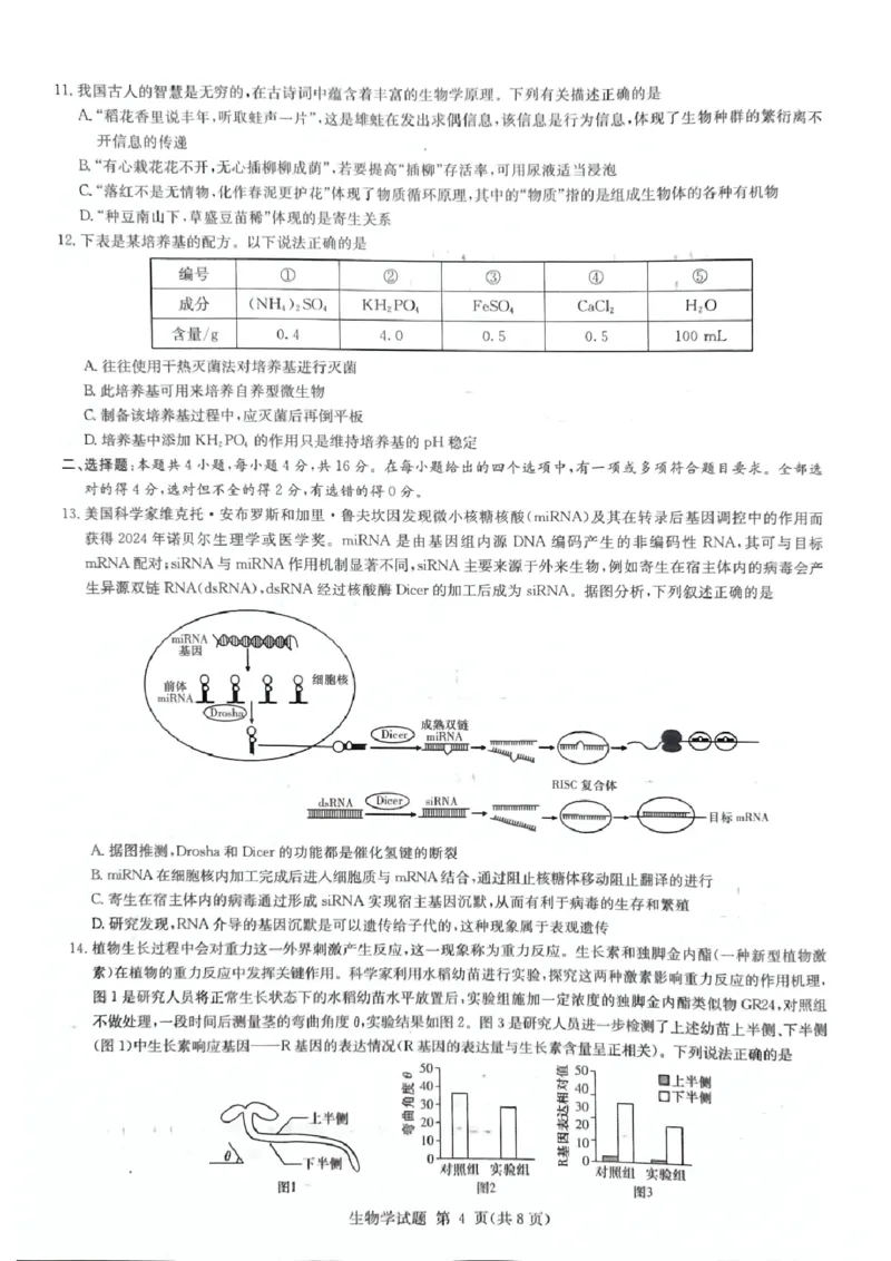 生物_2024-2025高三（6-6月题库）_2024年12月试卷_12152025届湖南省九校联盟高三上学期第一次联考（一模）_湖南省2025届高三九校联盟第一次联考生物