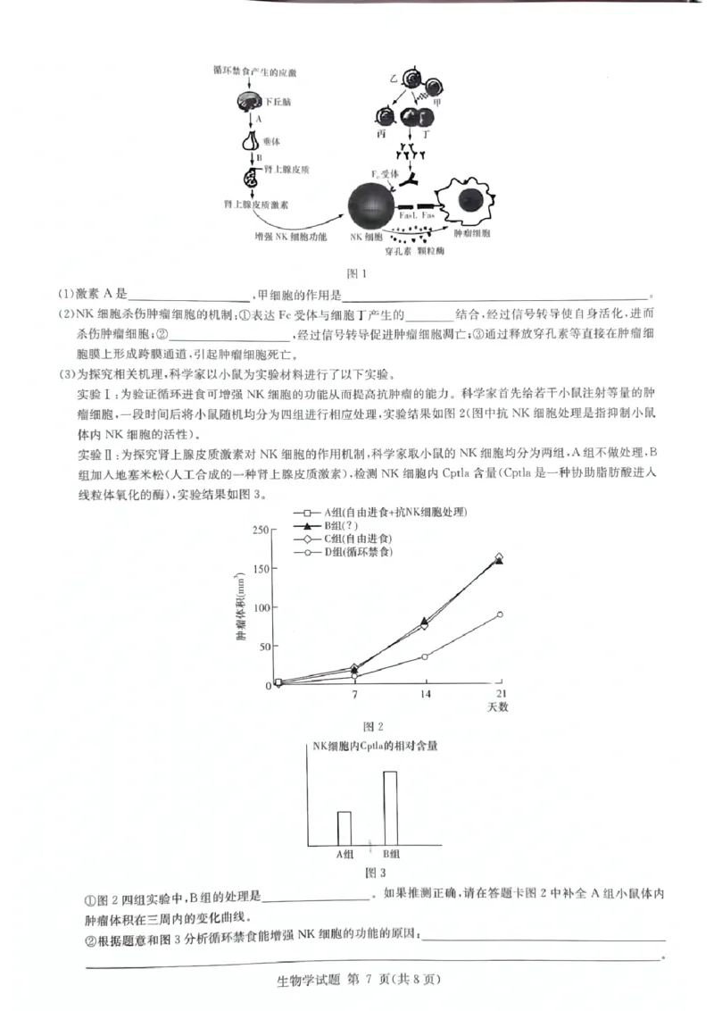 生物_2024-2025高三（6-6月题库）_2024年12月试卷_12152025届湖南省九校联盟高三上学期第一次联考（一模）_湖南省2025届高三九校联盟第一次联考生物