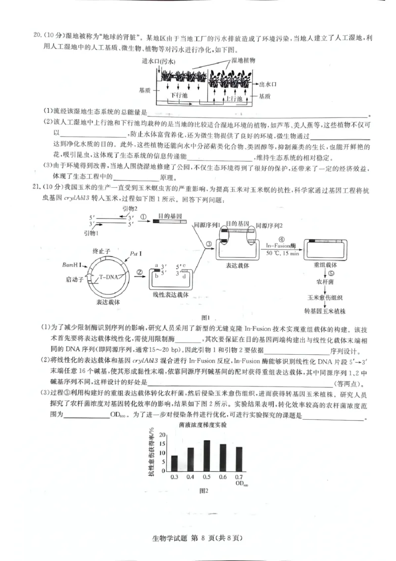 生物_2024-2025高三（6-6月题库）_2024年12月试卷_12152025届湖南省九校联盟高三上学期第一次联考（一模）_湖南省2025届高三九校联盟第一次联考生物