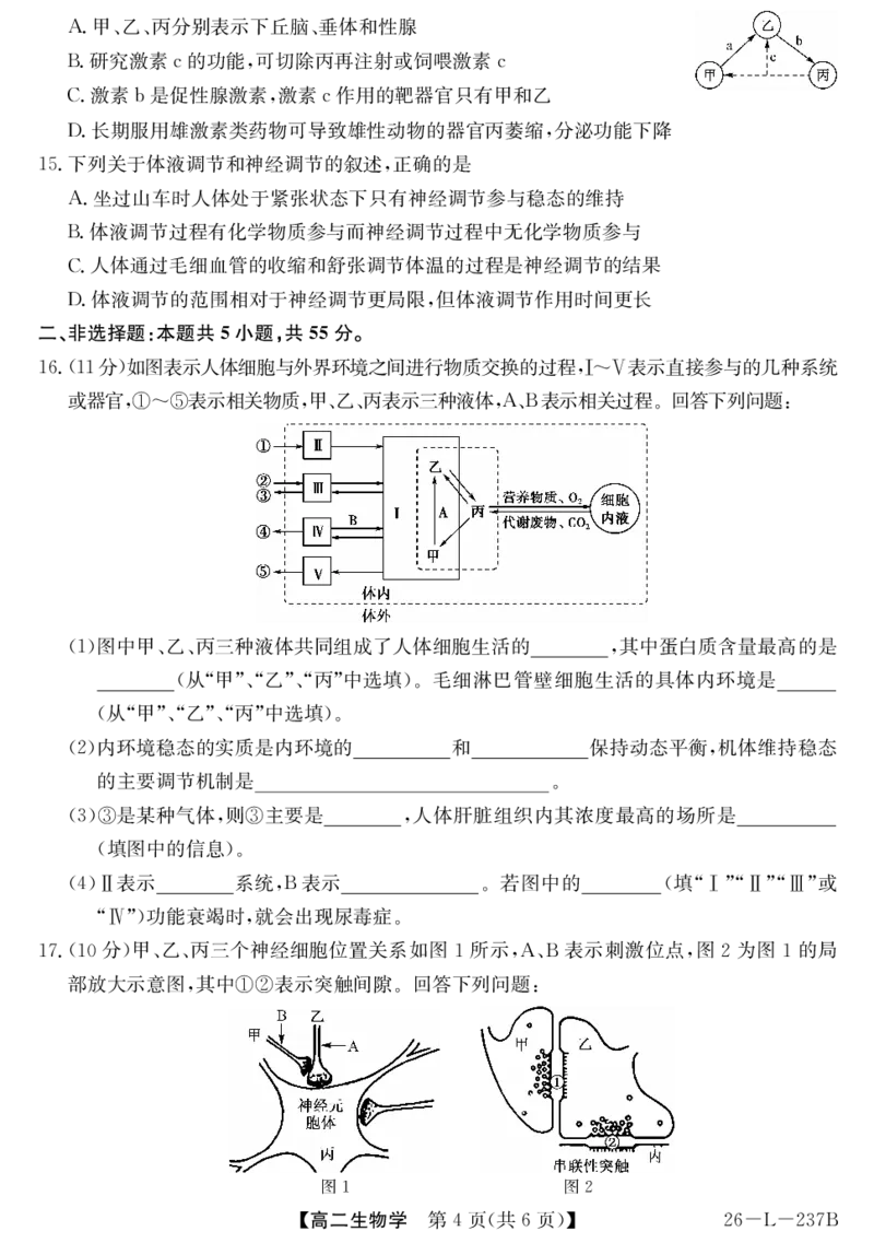 安徽省江淮名校2025-2026学年高二上学期阶段联考-生物_2025年11月高二试卷_251123安徽省江淮名校2025-2026学年高二上学期阶段联考（全）