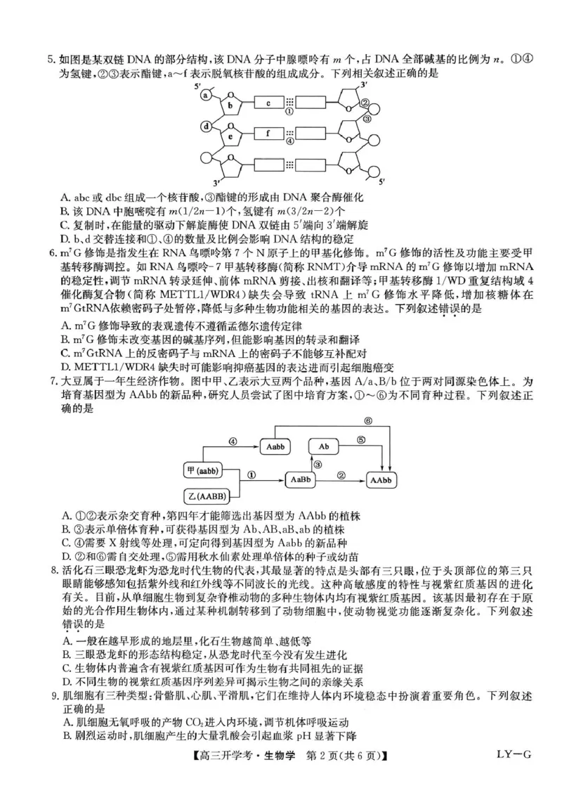 河南省部分重点高中九师联盟2024-2025学年高三下学期2月开学考试（生物）_2024-2025高三（6-6月题库）_2025年02月试卷_0216九师联盟高三2月开学考（2.14-15）（全科）