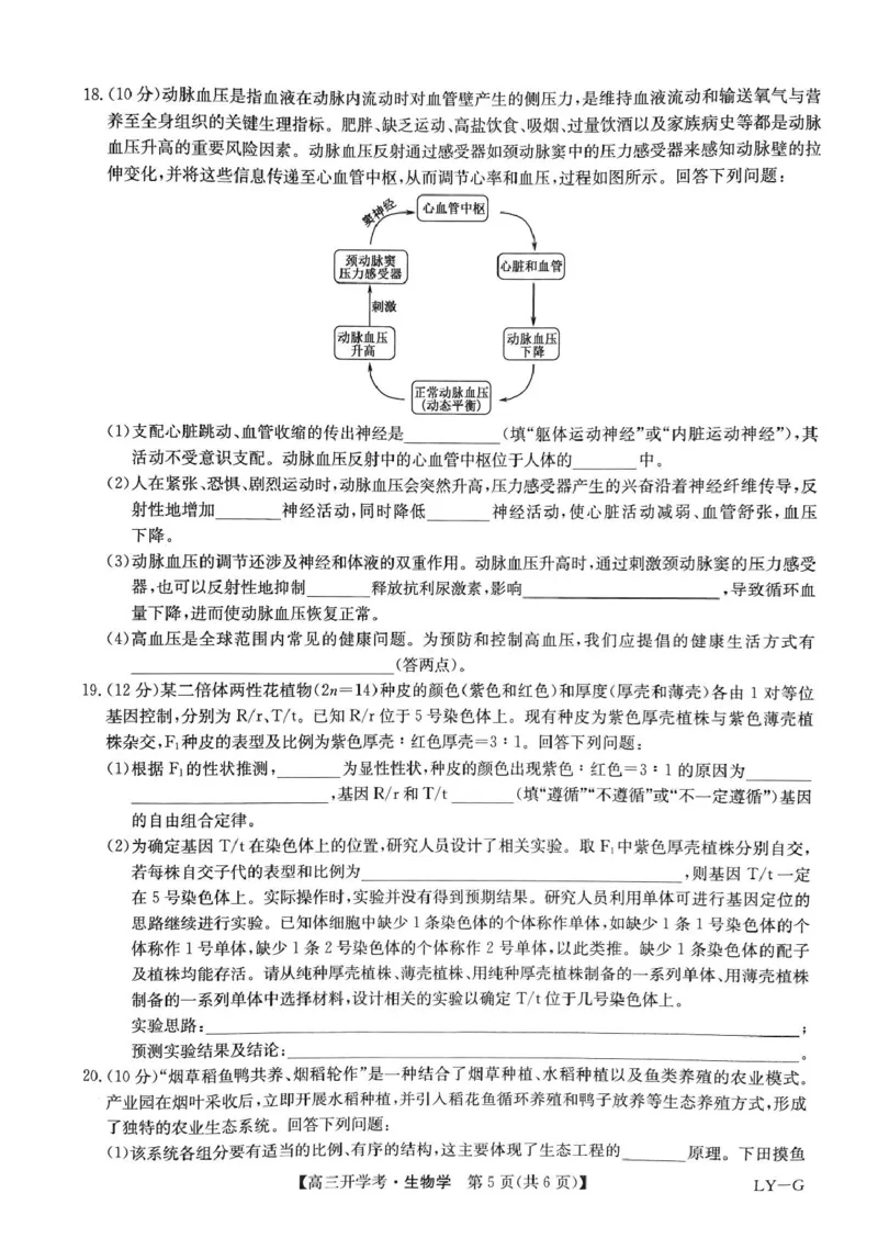 河南省部分重点高中九师联盟2024-2025学年高三下学期2月开学考试（生物）_2024-2025高三（6-6月题库）_2025年02月试卷_0216九师联盟高三2月开学考（2.14-15）（全科）