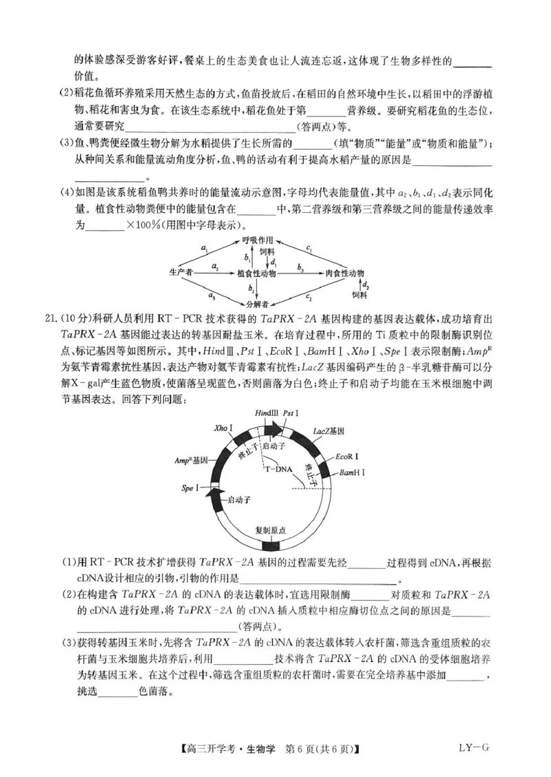 河南省部分重点高中九师联盟2024-2025学年高三下学期2月开学考试（生物）_2024-2025高三（6-6月题库）_2025年02月试卷_0216九师联盟高三2月开学考（2.14-15）（全科）
