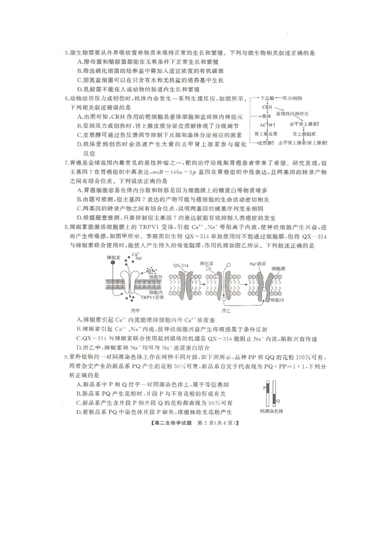 湖南省部分学校2023-2024学年高二下学期7月期末考试生物试题_2024-2025高三（6-6月题库）_2024年07月试卷_240705湖南省三湘名校联盟天壹名校联盟2024年高二期末考试
