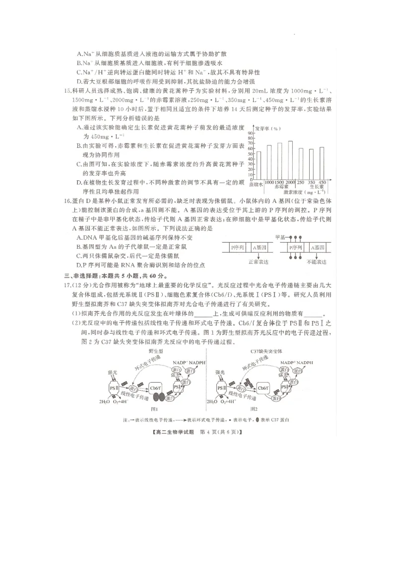 湖南省部分学校2023-2024学年高二下学期7月期末考试生物试题_2024-2025高三（6-6月题库）_2024年07月试卷_240705湖南省三湘名校联盟天壹名校联盟2024年高二期末考试