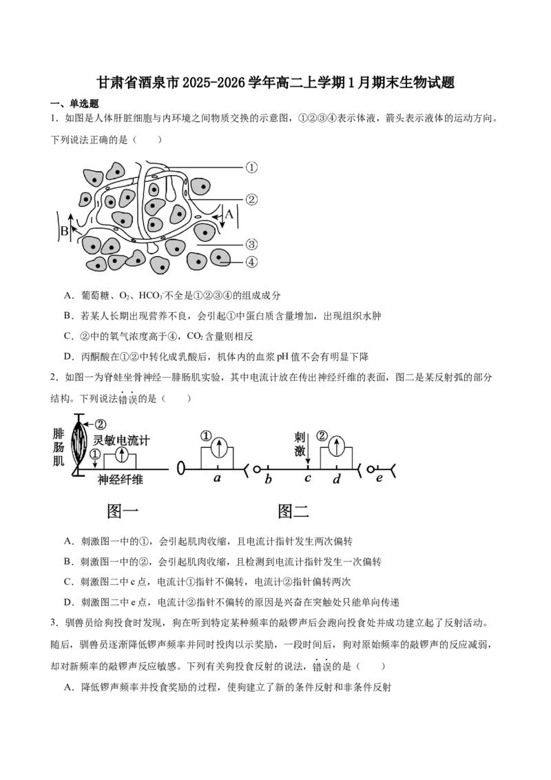 甘肃省酒泉市普通高中2025-2026学年高二上学期1月期末考试生物试卷（含答案）_2024-2025高二（7-7月题库）_2026年1月高二