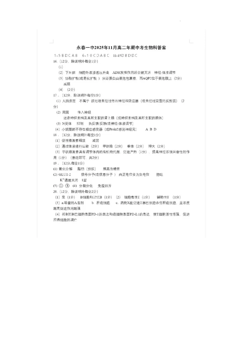 生物答案_251203福建省泉州市永春第一中学2025-2026学年高二上学期11月期中_福建省泉州市永春第一中学2025-2026学年高二上学期11月期中生物试题含答案