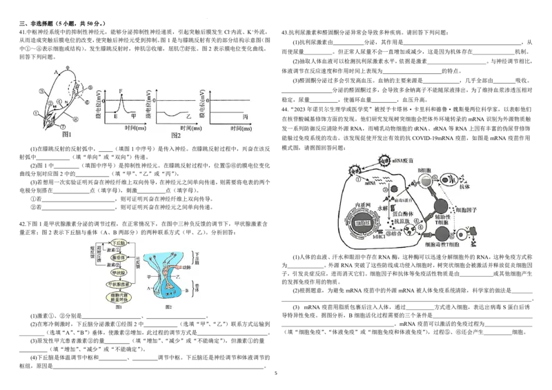 黑龙江省哈尔滨师范大学附属中学2024-2025学年高二上学期期中考试生物PDF版含答案_2024-2025高二（7-7月题库）_2024年12月试卷
