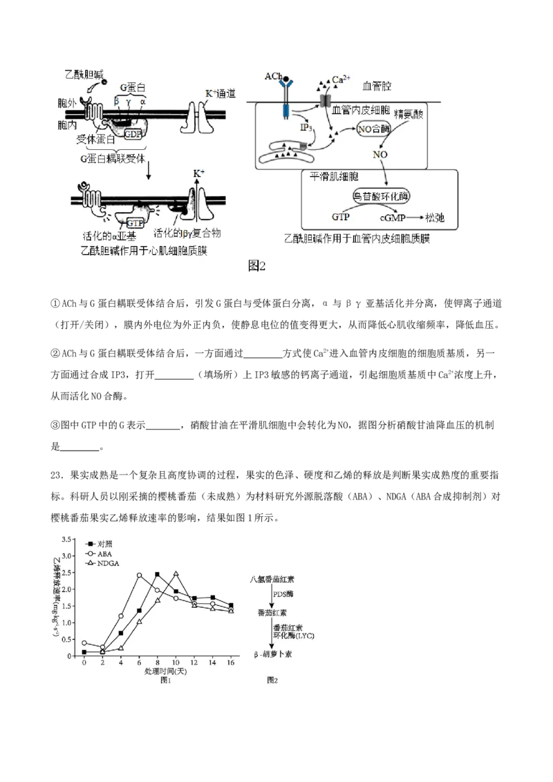 江苏省连云港市灌云县2025-2026学年高二上学期11月期中学业水平质量监测生物试卷_2025年11月高二试卷_251124江苏省连云港市灌云县2025-2026学年高二上学期11月期中考试
