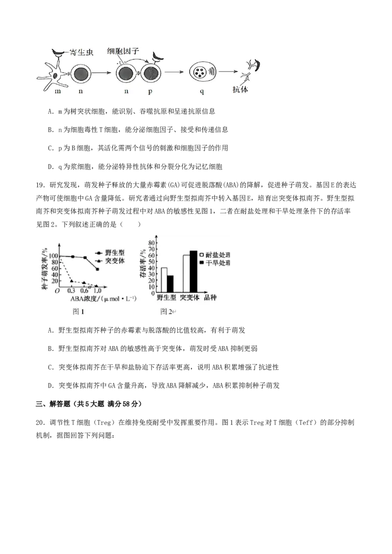 江苏省连云港市灌云县2025-2026学年高二上学期11月期中学业水平质量监测生物试卷_2025年11月高二试卷_251124江苏省连云港市灌云县2025-2026学年高二上学期11月期中考试