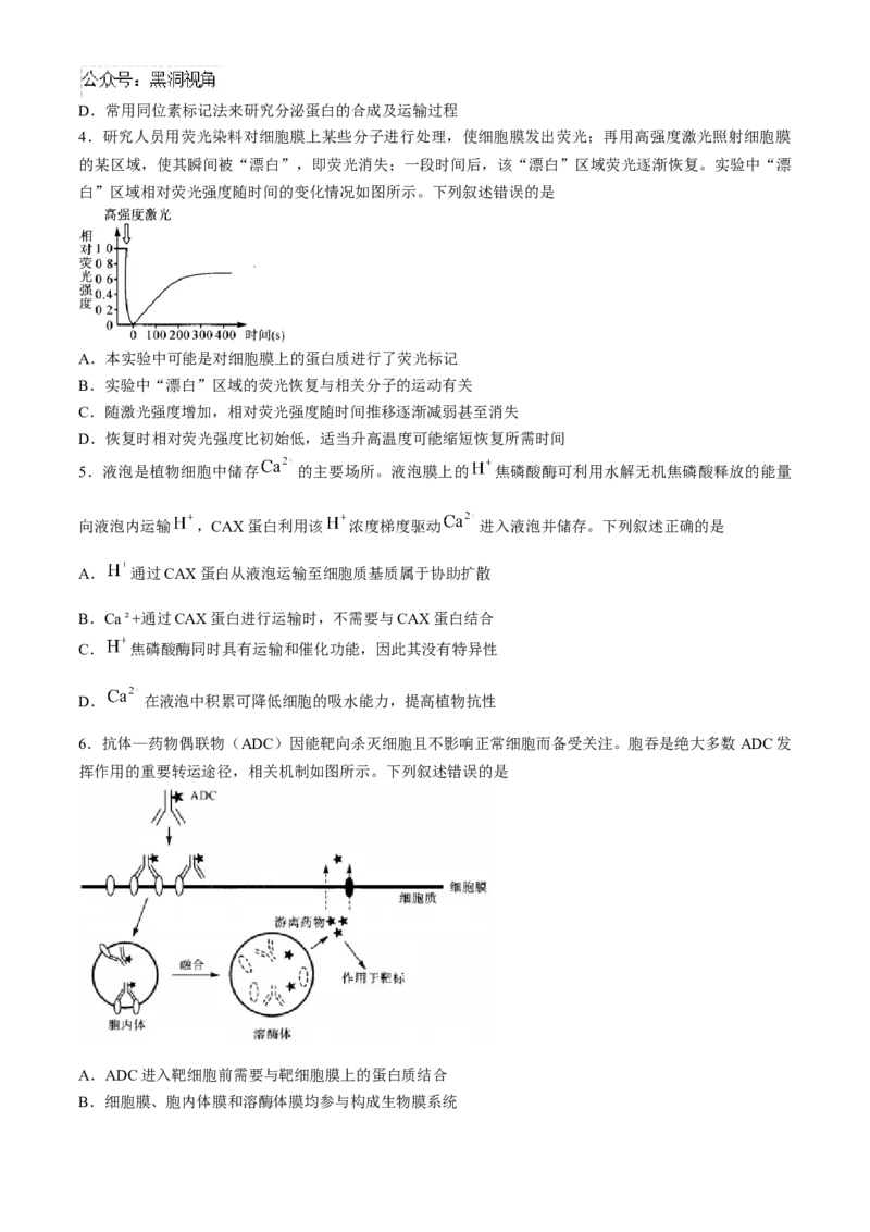 河南省部分重点中学2024-2025学年高三上学期11月质量检测生物试题（含解析）_2024-2025高三（6-6月题库）_2024年11月试卷_1127河南省部分示范性高中2024-2025学年高三上学期11月期中质量检测