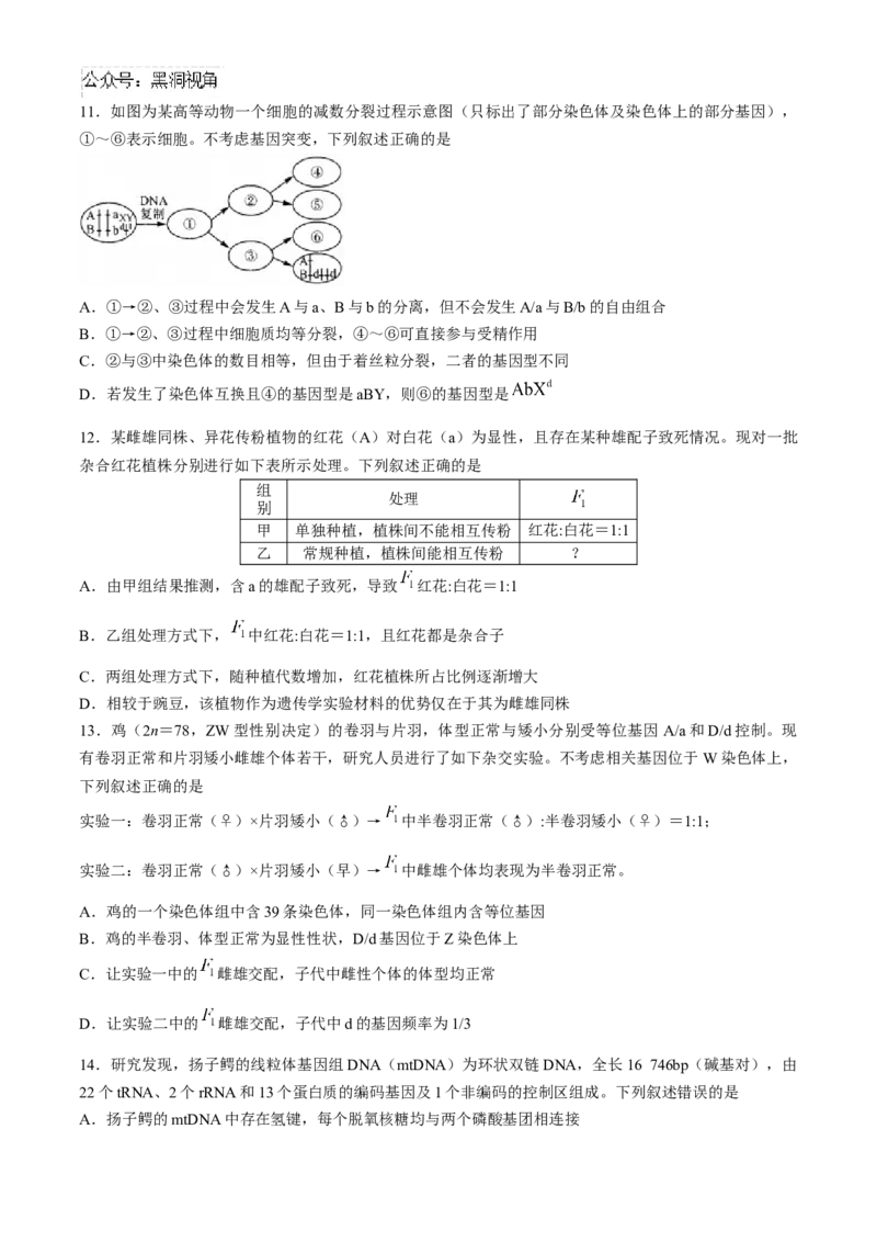 河南省部分重点中学2024-2025学年高三上学期11月质量检测生物试题（含解析）_2024-2025高三（6-6月题库）_2024年11月试卷_1127河南省部分示范性高中2024-2025学年高三上学期11月期中质量检测