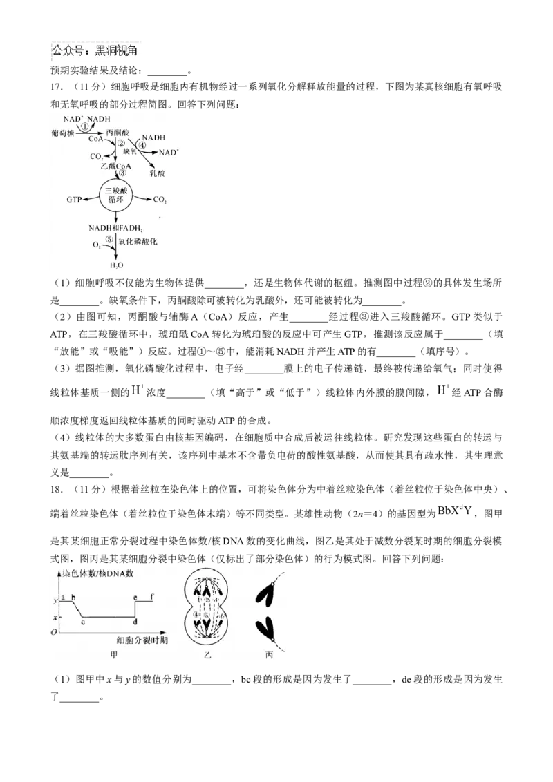 河南省部分重点中学2024-2025学年高三上学期11月质量检测生物试题（含解析）_2024-2025高三（6-6月题库）_2024年11月试卷_1127河南省部分示范性高中2024-2025学年高三上学期11月期中质量检测
