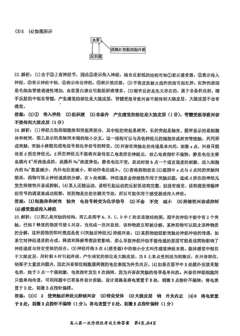 河南省许昌市禹州市第三高级中学菁华校区2025-2026学年高二上学期9月月考生物试题（图片版，含解析）_2025年10月高二试卷