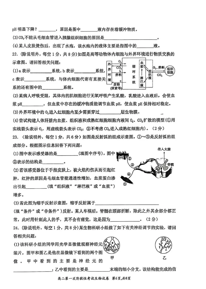 河南省许昌市禹州市第三高级中学菁华校区2025-2026学年高二上学期9月月考生物试题（图片版，含解析）_2025年10月高二试卷
